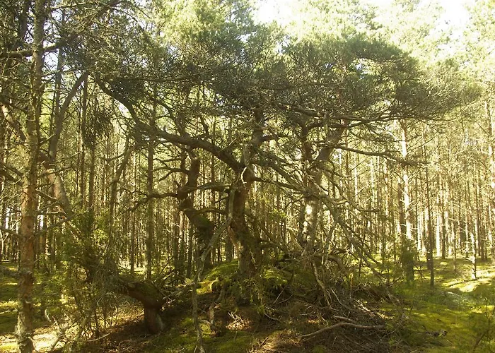 Appartement Laguun Apartement&wellness